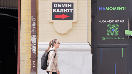 Фурса прогнозує падіння курсу гривні без західної підтримки - 290x160