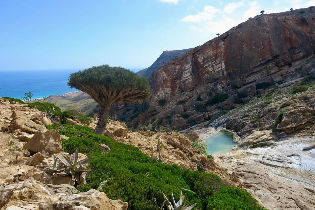 Острів Сокотра - фото