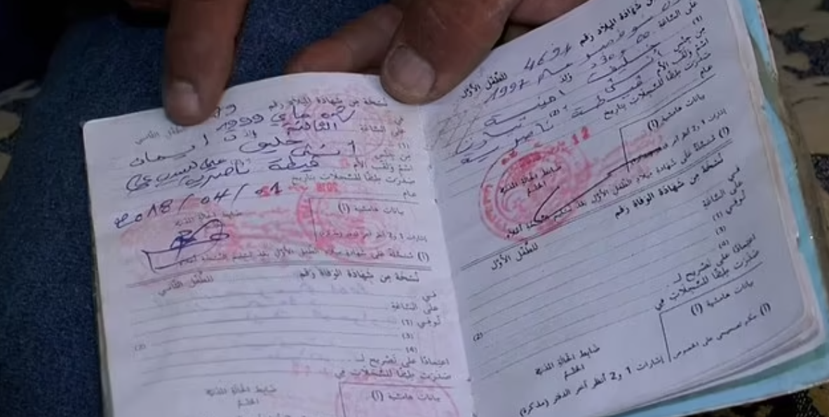 боксер транс алжир 