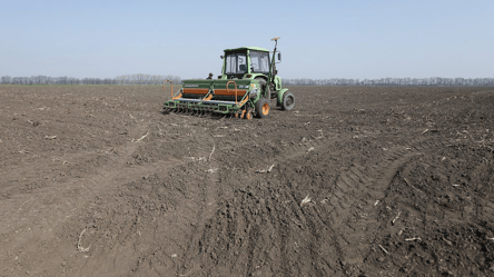 Цены на агрорынке — какая продукция стала дороже на 900 грн - 285x160