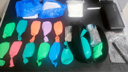 Службовий собака прикордонників на Одещині виявив наркотики в надувних кульках - 285x160