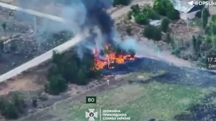 Прикордонники спопелили укриття окупантів у Серебрянському лісі — відео - 290x166