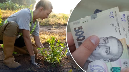 Льгота для владельцев земли: когда не придется платить налоги при продаже участка - 285x160