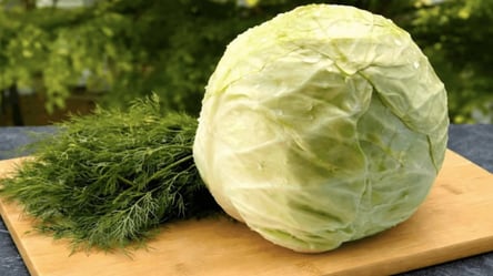 Салат из капусты без майонеза за 5 минут — рецепт для повседневного меню - 285x160