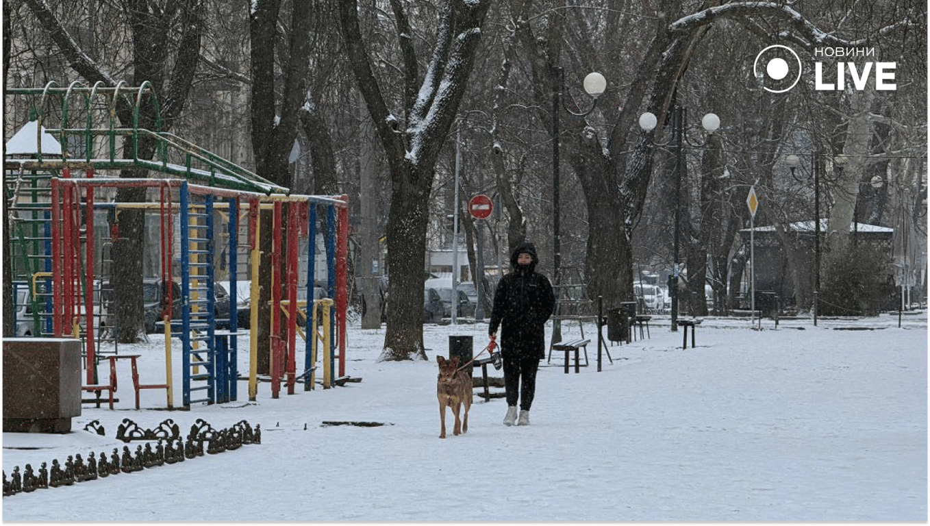 В Одесі засніжило: фото міста