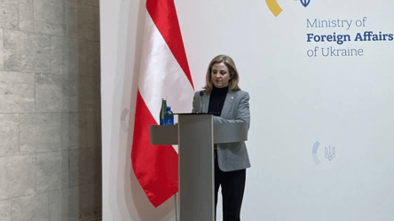 Путь Украины к Евросоюзу — в МИД Австрии поддержали - 285x160