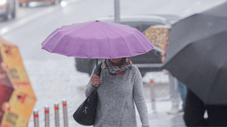 В Украине будет облачно и с дождями — Диденко о погоде на завтра - 290x166