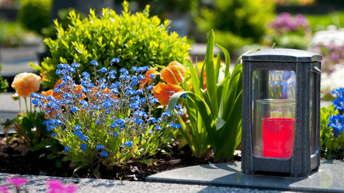 Какие цветы стоит сажать на кладбище: список выносливых и очень красивых