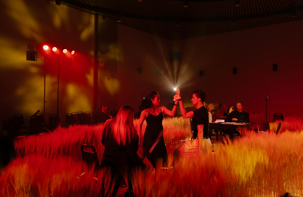 інсталяція