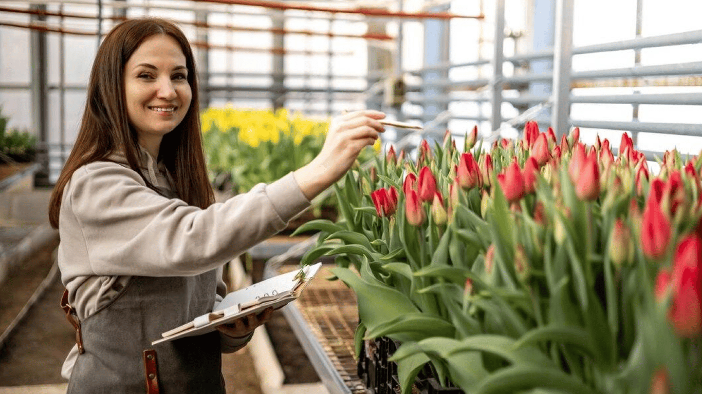 Работа для украинцев в Нидерландах — нужны работники в теплице с тюльпанами