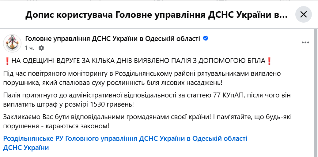 На Одещині вдруге за тиждень виявили палія за допомогою БПЛА - фото 1