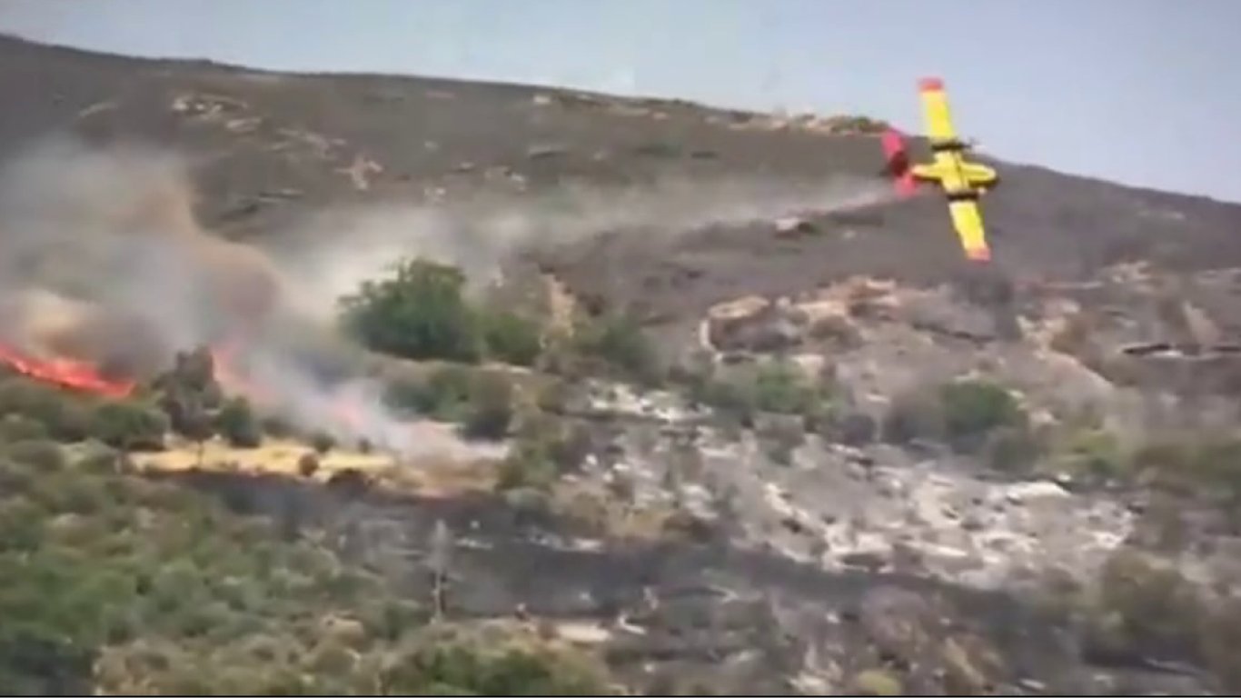 У Греції впав літак, який гасив масштабні пожежі