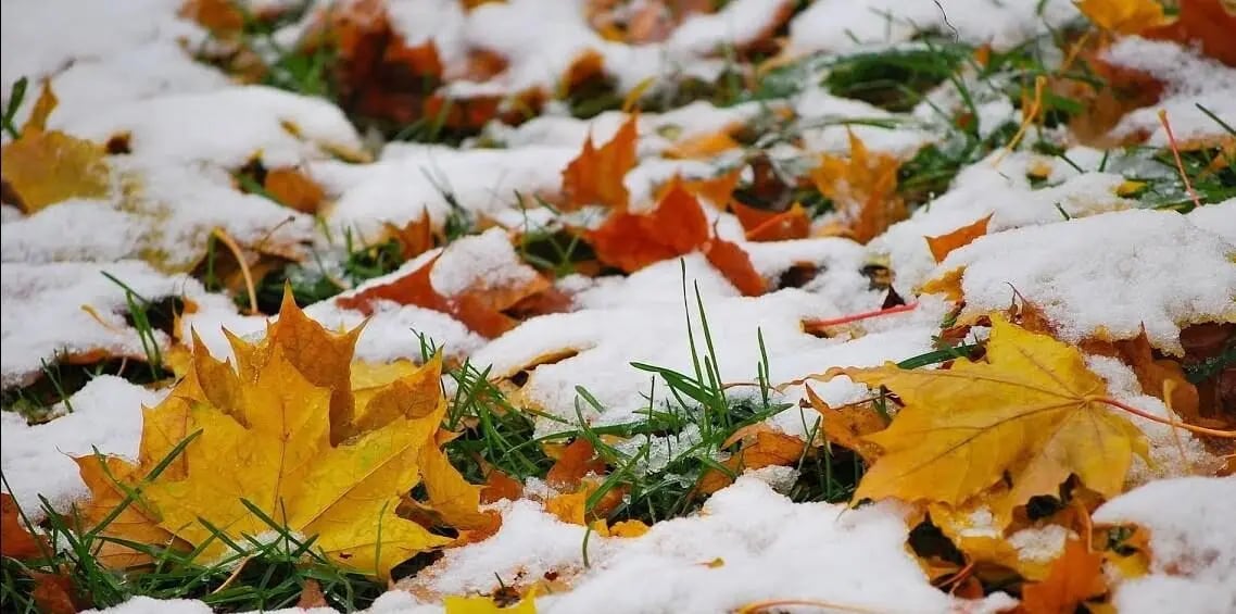 Народні прикмети та традиції на 23 жовтня