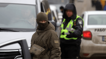 Чоловік вдарив поліцейського під час перевірки ВОД — рішення суду - 285x160