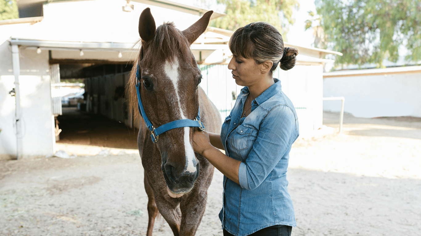 Який талант має кожен знак Зодіаку