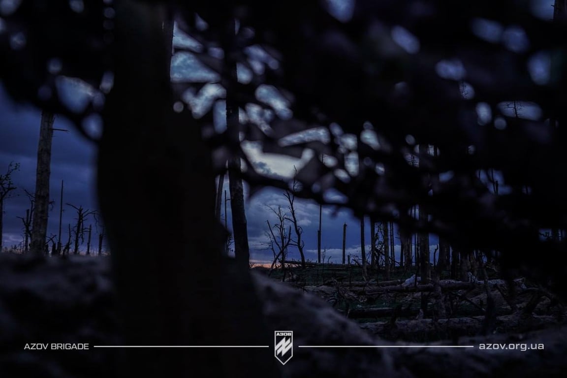 Яке на вигляд зараз Серебрянське лісництво