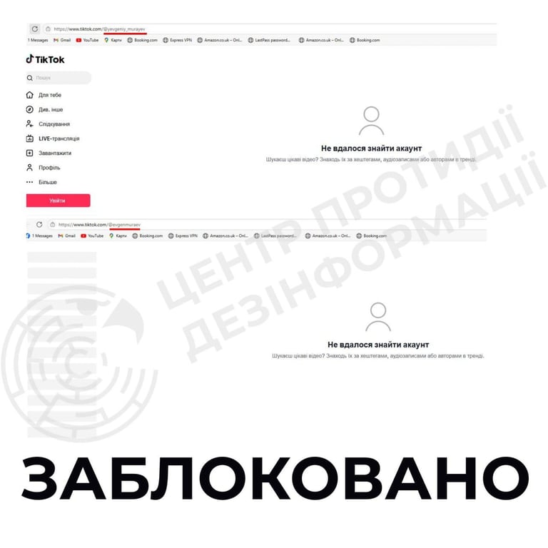 TikTok Мураєва заблокували 
