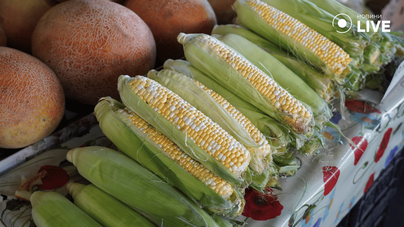 Остання сезонна кукурудза. Фото: Новини.LIVE