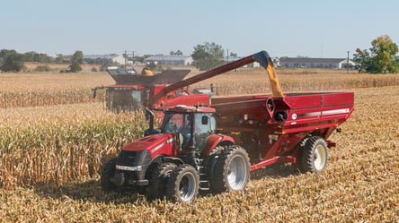 Ціни на зерно в Україні — скільки коштує кукурудза у грудні - 285x160