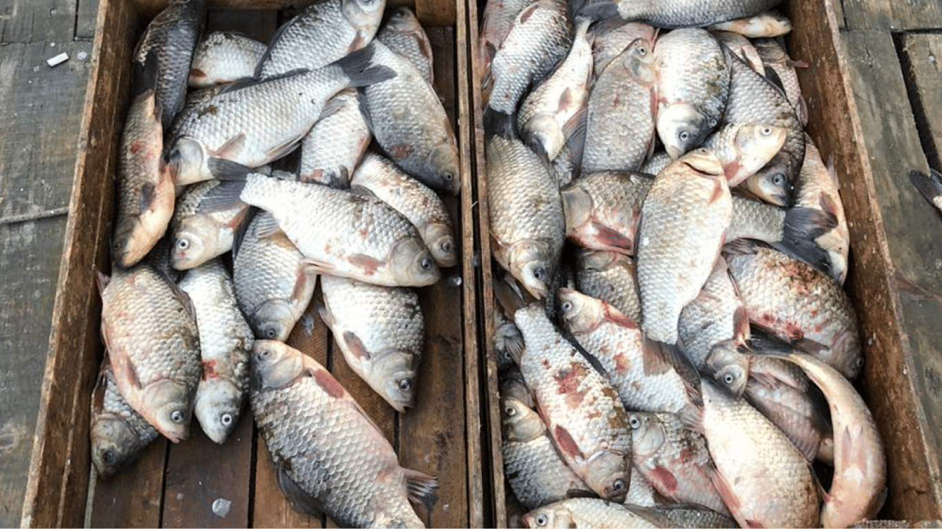 Понад кілометр сіток: на Одещині виявили незаконного рибалку