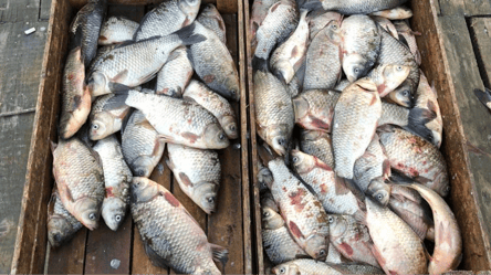 Понад кілометр сіток: на Одещині виявили незаконного рибалку - 285x160