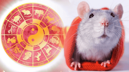 Chinese horoscope for Rat — big surprises coming in 2026 - 285x160