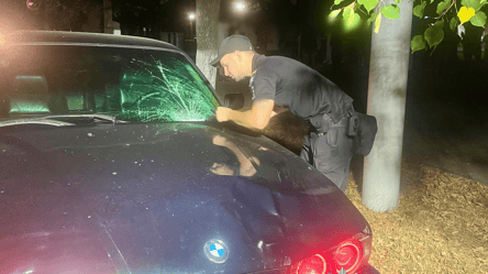 Смертельна ДТП на Одещині — родина жертви просить не карати водія - 290x166