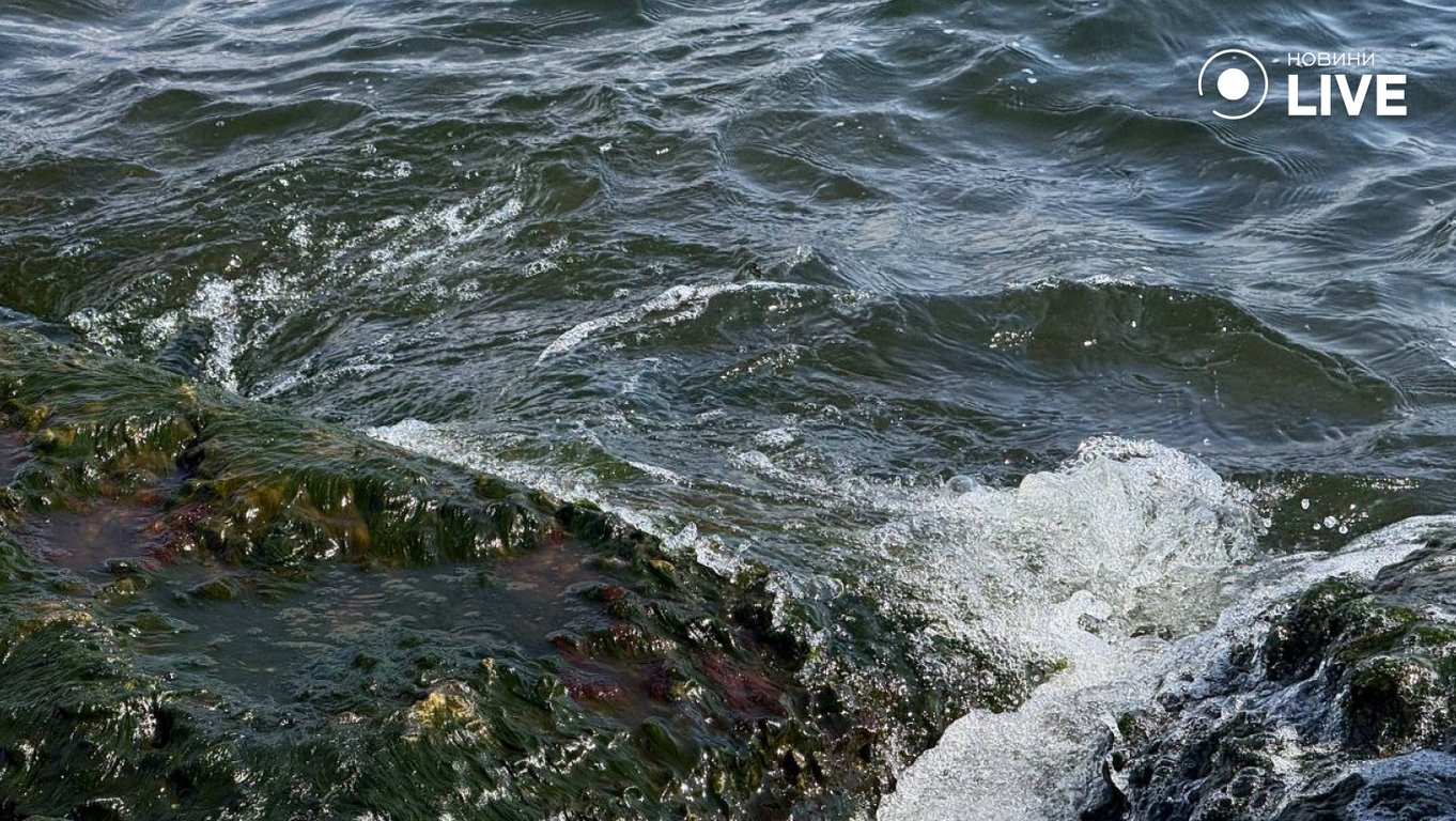 Забруднення моря в Одесі