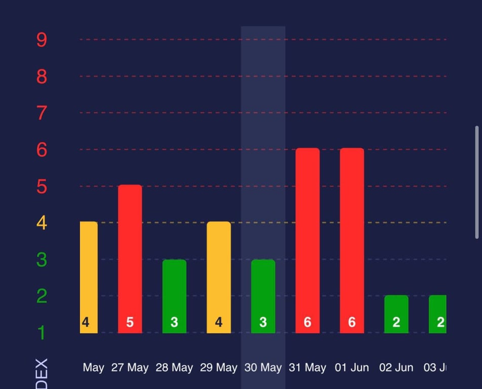 График магнитных бурь на сайте Meteoagent. Фото: скриншот