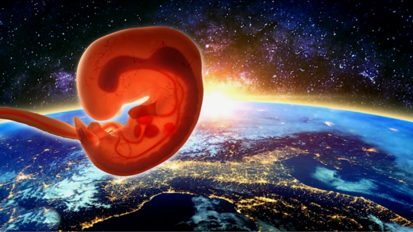 Вперше в історії вчені виростили ембріони ссавців у космосі