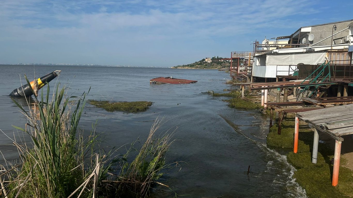 Экологи фиксируют опреснение морской воды у берегов Одессы