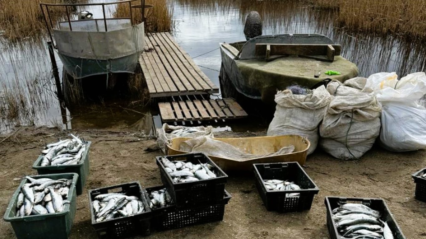 В Одеській області браконьєри виловили рибу майже на 3 мільйони гривень — подробиці