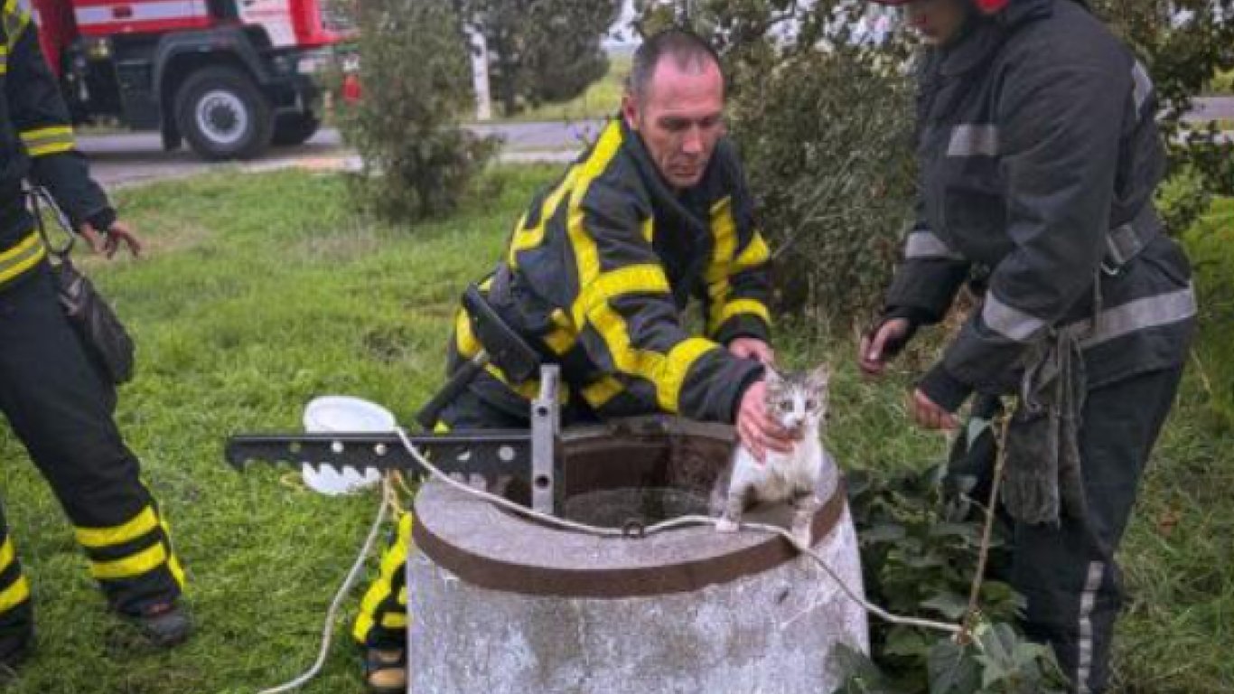 В Одесі працівники ДСНС врятували кота і собаку