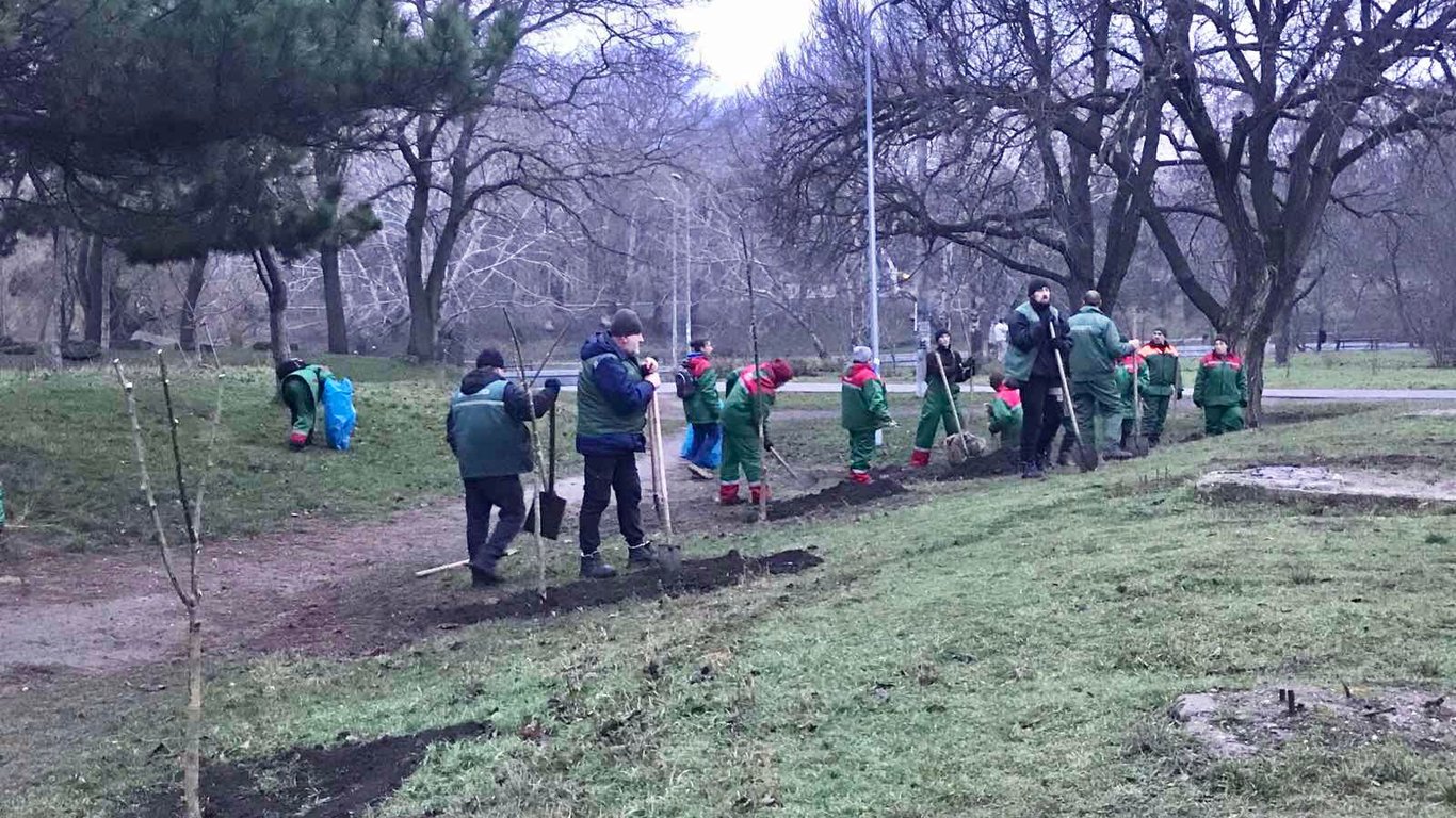 В парке победы в Одессе высадили молодые деревья