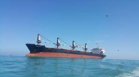 Пограничники перехватили угрозы РФ торговому судну в Черном море - 285x160