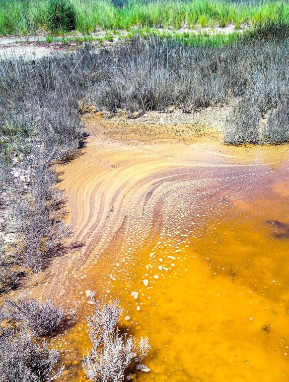 Вода в лимані