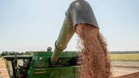 Цены на зерно — как война влияет на продажу украинской пшеницы - 285x160