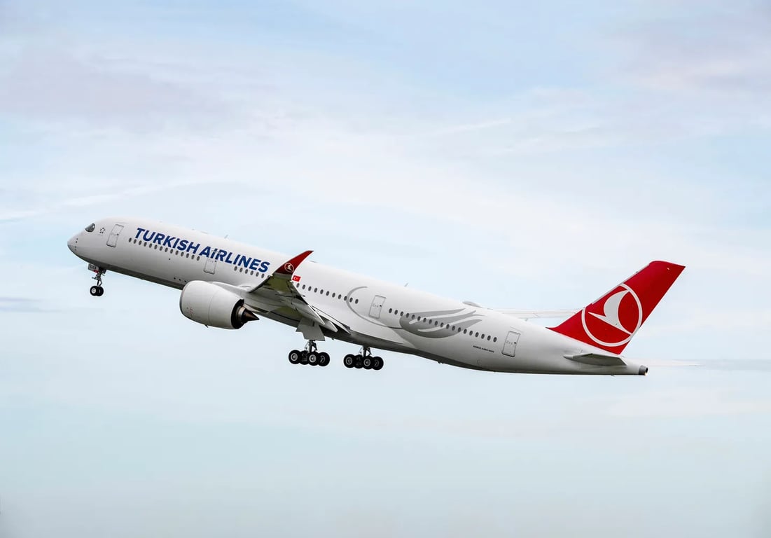 Turkish Airlines hand luggage — rules in 2025 — photo 1