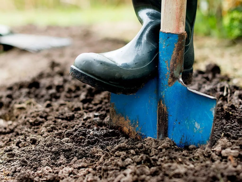 Посевный календарь на ноябрь 2024 - какие дни благоприятны для работы в саду и огороде