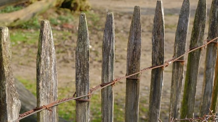 Штраф за паркан — які огорожі не можна ставити в Україні - 285x160