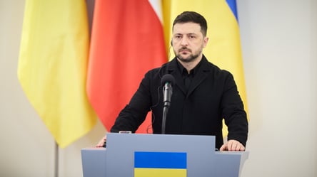 Украина предлагает Польше опыт защиты, — Зеленский - 290x160