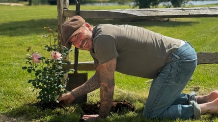 Девід Бекхем здивував осіннім урожаєм — квіти й овочі з його саду - 285x160