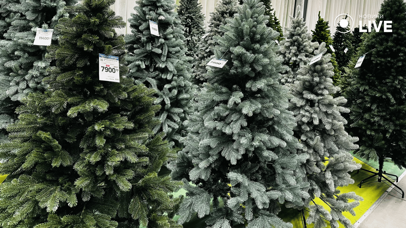 Дерева в Епіцентрі