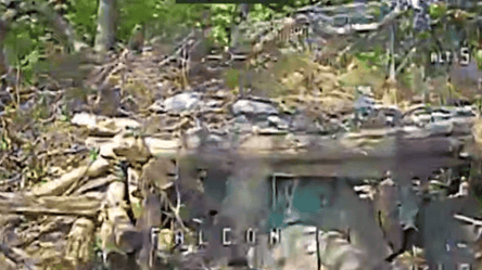 Дрони "Гарту" розбили гармату, міномет і кулемет росіян — відео - 285x160