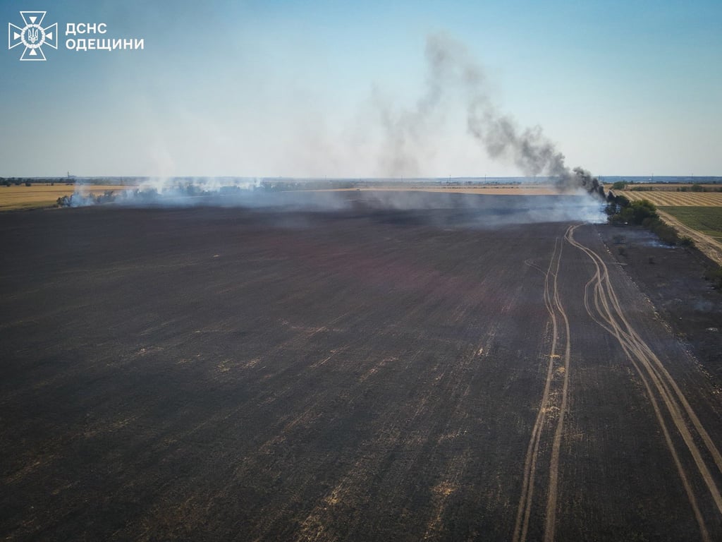 Пожежа під Одесою — згоріло 10 гектарів землі - фото 1
