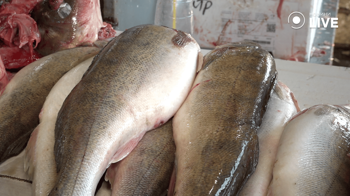 Риба на прилавку базару 