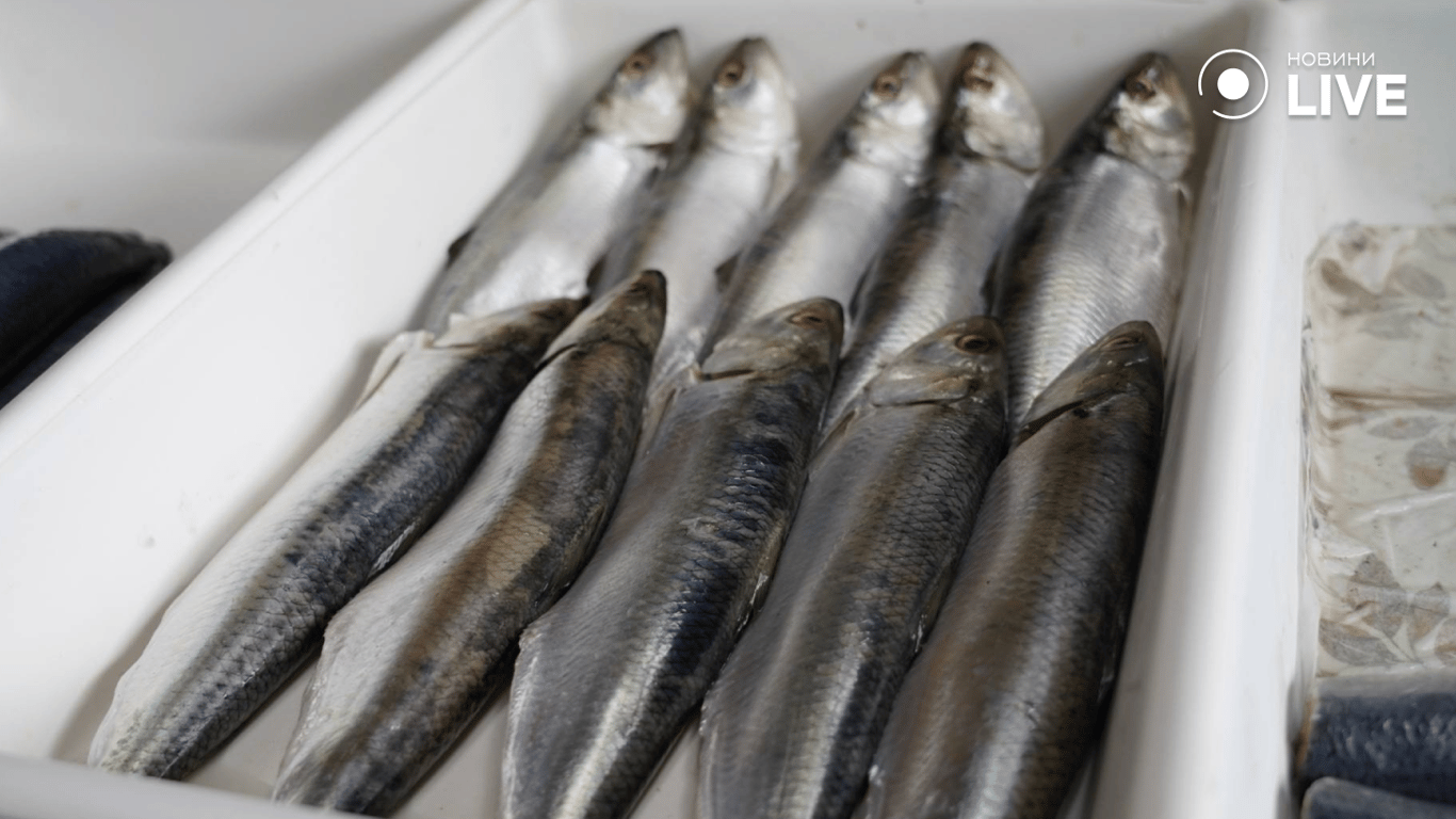 Дунайка на Привозі