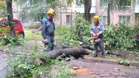 В Киеве спасатели показали последствия вчерашней непогоды в столице - 285x160