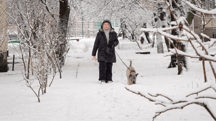 Мороз до -25° и снег — где завтра Украину скует холод - 285x160