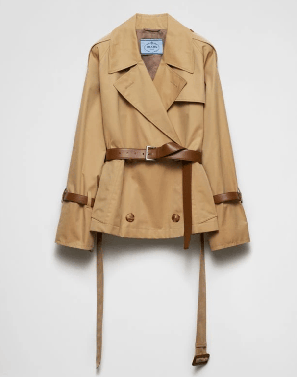 Міні тренч, що здивує усіх дизайно